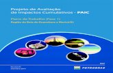 Projeto de Avaliação de Impactos Cumulativos - PAIC · de Libra, Bacia de Santos .....80 . ii Projeto de Avaliação de Impactos Cumulativos Plano de Trabalho Revisão 01 09/2019