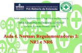 Aula 4. Normas Regulamentadoras I: NR1 e NR6...1.4 Direitos e deveres 1.5 Da prestação de informação digital e digitalização de documentos 1.6 Capacitação e treinamento em