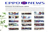 EPPO NEWS · 2019-11-12 · EPPO implantou o curso Mídias Digitais, que visa ensinar pequenos empreendedores a fazerem uso das ferramentas gratuitas do Google, criação, planejamento