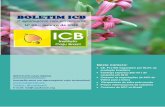 BOLETIM ICB - Caju Brasil · 2020-01-17 · O Boletim ICB – O agronegócio caju em números é uma publicação mensal do Instituto Caju Brasil. As informações contidas neste