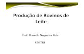 Prof. Marcelo Nogueira Reis UNITRI · Fonte: Rehagro 2010. Melhoramento Genético: 1. Raças para produção de leite; 2. Seleção dos animais; 3. Cruzamentos; Ferramentas do Melhoramento