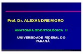 Prof. Dr. ALEXANDRE MOROmoroortodontia.com.br/anatomia/mimica-aula.pdf · 2020-03-31 · ä Insere-se no processo mastóide e na linha nucal superior, desce e prende-se no manúbrio