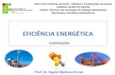 EFICIÊNCIA ENERGÉTICA · No ano de 2014 o Brasil chegou a 12 GWe de capacidade instalada de cogeração em operação, sendo que, 73 % (8810 MWe) são oriundos da cogeração da