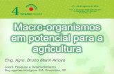 Eng. Agro. Bruno Marin Arroyogebio.com.br/.../08/Dia2_macropotenciais_BMArroyo.pdf · amarelo brilhante. Parasita as ninfas de mosca-branca, preferencialmente até o 3° instar. Utilizado