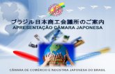 Câmara de Comércio e Indústria Japonesa do Brasil ...pt.camaradojapao.org.br/upload/files/20160112(PORTUGUES...Anos 1990 Início governo Collor (1990), liberalização comércio