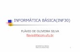 INFORMÁTICA BÁSICA(INF30)flavio/pd/files/TRANSPARENCIAS.pdf · INFORMÁTICA BÁSICA Flávio de Oliveira Silva 6 1. Conceitos e Informações Fundamentais? Informática - Ciência