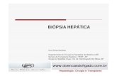 aula biopsia hepatica [Modo de Compatibilidade] biopsia hepatica.pdf · • Tipo e grau/estádio da lesão e da fibrose Biópsia Hepática • Manejo e eficácia de um tratamento