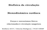 Biofísica da circulação - Unesp€¦ · Causas –falha da bomba cardíaca Processo agudo –estase de 1% por 10 minutos mata o paciente. Ex. 2 –Hemorragia –aguda é uma condição