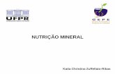 6. Nutrição Mineral - Grupo de Estudo e Pesquisa em Estaquia bio/6 NUTRICAO MINERAL.pdffosfato de potÁssio 1,0 ml/l ca(no 3) 2. 4 h 2 o nitrato de cÁlcio 5,0 ml/l mgso 4. 7 h 2