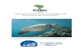 Programa de monitoramento de Tartarugas Marinhas do Parque ... · 4.1.1 Monitoramento diurno O objetivo do monitoramento diurno é identificar os registros reprodutivos de TMs no