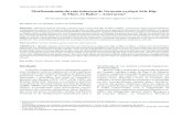 Morfoanatomia da raiz tuberosa de Vernonia …...Acta bot. bras. 20(3): 591-598. 2006 Morfoanatomia da raiz tuberosa de Vernonia oxylepis Sch. Bip.in Mart. ex Baker – Asteraceae