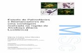 Estudo de Palinofácies e Biomarcadores de uma sondagem … · 2019-06-06 · organic matter is in a mature stage and preserved in some horizons under reductive conditions. Theses