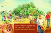Plantando florestas, mudando vidas · O Programa Xingu do ISA visa contribuir com o ordenamento socioambiental da Bacia do Rio Xingu considerando a expressiva diversidade socioambiental