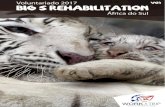 intercambiowt.com.brintercambiowt.com.br/multimidia/arquivos/8_9d2999504564f7ea93b… · centro incluem leôes, tigres-de-bengala, cheetas, e leôes brancos. O Centro de Reabilitação