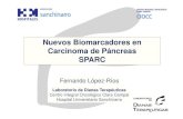 Nuevos Biomarcadores en Carcinoma de Páncreas SPARCabordajemultidisciplinar.net/wp-content/uploads/2013/04/4290_Lope… · Adenocarcinoma de páncreas. Lente óptica con aumento