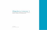 Álgebra Linear Ilgebra-Linear-I.pdf · cos da Álgebra Linear, não pressupõe que os estudantes possuam desde o início uma prática em trabalhar com conceitos que de- mandem certos