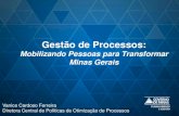 Gestão de Processos...Mobilizando Pessoas para Transformar Minas Gerais Vanice Cardoso Ferreira Diretora Central de Políticas de Otimização de Processos Primeira Geração 2003