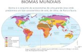 BIOMAS MUNDIAIS€¦ · BIOMAS BRASILEIROS Segundo o Ministério do Meio Ambiente, o país apresenta sete biomas em seu território, os quais juntos correspondem a cerca de 20% de