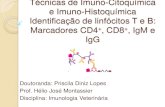 Técnicas de Imuno-Citoquímica e Imuno-Histoquímica · Técnicas de Imuno-Citoquímica e Imuno-Histoquímica Identificação de linfócitos T e B: Marcadores CD4+, CD8+, IgM e IgG