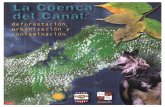 La Cuenca del Canal: deforestación, urbanización y contaminación160.111.248.55/Public/pdfs/HeckadonIbanezCondit1999.pdf · P R O Y E C T O DE M O N I T O R E O DE LA C U E N C