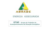 ENERGIA ASSEGURADA - ABRAGE - Energia Assegurada - Luiz Roberto... · período após 2014 deverá ser definido antes da recontratação da energia existente (CCEARs 2005-2012), ...