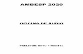 AMBESP 2020 - ExplicaSom - AMBESP 2020.pdf · Há, entretanto, técnicas e práticas que podemos adotar de sorte que esta diferença de som, (que sempre existirá), não seja uma