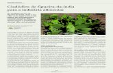 Cladódios de figueira-da-índia para a indústria alimentar › wp-content › uploads › sites › 5 › 2018 › ... · 2019-10-22 · cos, túrgidos, tenros, finos e de cor verde