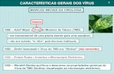 CARACTERÍSTICAS GERAIS DOS VÍRUS · CARACTERÍSTICAS GERAIS DOS VÍRUS 1 MARCOS INICIAIS DA VIROLOGIA 1886 –Adolf Mayer = Vírus do Mosaico da Tabaco (TMD): •era transmissível