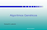 Algoritmos Genéticosrso/ag-tbl.pdf · Algoritmos Genéticos Algoritmos Genéticos São técnicas de busca e otimização. É a metáfora da teoria da evolução das espécies iniciada
