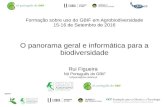 O panorama geral e informática para a biodiversidade€¦ · Web semântica (dados ligados) In addition to the classic “Web of documents” W3C is helping to build a technology