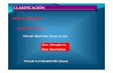 CLASIFICACIÓNCLASIFICACIÓN · Microsoft PowerPoint - 11-GENERALIDADES CESTODOS.ppt Author: abs Created Date: 5/21/2010 8:21:04 PM ...