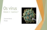 Os vírus Módulo 3 – Capítulo 7 › files › 006 › downloads › virus.pdf• Coronavírus - família de vírus - infecções respiratórias. • Coronavírus humanos - isolados