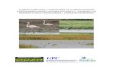 GPC - BirdLife International...3 - GPC – Gabinete de Planificação Costeira, Bissau, Guiné-Bissau. Email: joaosa2003@hotmail.com 4 - UICN – União Internacional para a Conservação