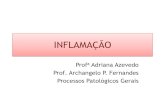 INFLAMAÇÃO - Professores de Biomedicinaprofbio.com.br/aulas/pato_06.pdf · Sinais Clínicos Clássicos *Os 4 sinais de inflamação (mais fortes na inflamação AGUDA) são: -CALOR