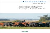 Documentos - Embrapa...para a pecuária de corte, através do qual os criadores podem aumentar a eficiência de produção e a lucratividade de seus rebanhos, por meio de princípios