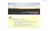 Comportamento de Herbicidas em Áreas de Palhada e Plantio ... › wp-content › uploads › ...06/07/2017 1 Comportamento de Herbicidas em Áreas de Palhada e Plantio Direto Prof.
