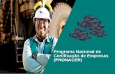 Programa Nacional de Certificação de Empresas (PRONACER) · Transformar recursos naturais em prosperidade e desenvolvimento sustentável Visão Ser a empresa de recursos naturais