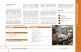 01 - PARTICIPACAO DA COMUNIDADE - ITP 4-4 · Falta de plano gestão para Unidades Conservação Falta de higienização nos equipamentos turísticos Crescimento da carcinocultura
