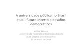 Universidade Pública no Brasil atual futuro incerto...futuro • Presente imediato e futuro próximo • Brasil atual: desafios para a comunidade acadêmica Democratização • Democratização:
