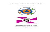 MUNICIPIO DE LOULÉplanos.prociv.pt/Documents/130603648169335736.pdf · 2014-11-13 · 4.8.1. Rede de Muito Alta Tensão 4.8.2. Rede Nacional de Distribuição . Plano Municipal de