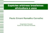 Espécies arbóreas brasileiras: silvicultura e usos › Home › DTA › STPG › agro › palestras › pal… · Mato Grosso, Mato Grosso do Sul, Minas Gerais, Paraná, Estado