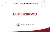 DI-HIBRIDISMO · 2020-04-11 · DI-HIBRIDISMO Genes não alelos Localizados em cromossomos diferentes Localizados no mesmo cromossomo Segregação independente Ligação gênica (linkage)