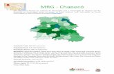 MRG - Chapecódocweb.epagri.sc.gov.br/website_cepa/Dados_regioes/Chapeco.pdf · MRG - Chapecó Este documento fornece um conjunto de informações para a microrregião de Chapecó