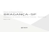 Câmara de Bragança Paulista BRAGANÇA-SP€¦ · borativo nos processos administrativos, entre os setores de uma empresa. Na prática, essas técnicas são as aplica - ções de