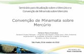 Convenção de Minamata sobre Mercúrio€¦ · Processo de Negociação da Convenção 2001: o Conselho de Administração do Programa das Nações Unidas solicita ao PNUMA uma avaliação