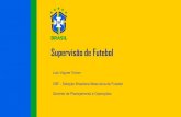 Supervisão de Futebol · Supervisor de Logística do Futebol Profissional –Grêmio FBPA (2010-2011) Sócio Proprietário de uma empresa de Consultoria Esportiva (2011-2012) Supervisor