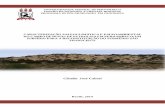 Cláudio José Cabral · 2019-10-25 · Figura 53: Medidas de direção do eixo axial e padrão morfológico das dunas parabólicas, sobrepostas a atual direção média dos ventos