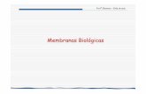 Membranas Biológicas - USPeleonora/9-Membranas Biologicas.pdf · A maioria das moléculas biológicas ésolúvel em água, por serem polares ou ionizadas no pH fisiológico. Tais