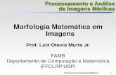 Morfologia Matemática em Imagensdcm.ffclrp.usp.br › ~murta › PAIM › PAIM_5.pdfProcessamento de Imagens Médicas 1 Processamento e Análise de Imagens Médicas Morfologia Matemática