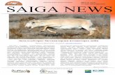 Ақбөкенді ж күзі SAIGA NEWSsaiga-conservation.org › wp-content › uploads › 2015 › 03 › ... · Республикасының жабайы жануарлар